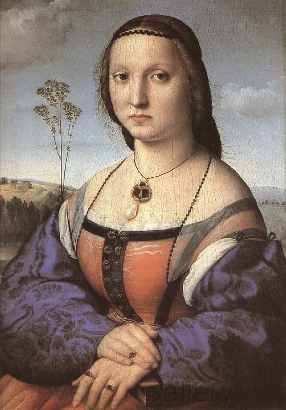RAFFAELLO Sanzio Portrait of Madali